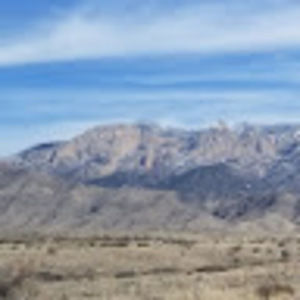 Meet your Posher, Angelo